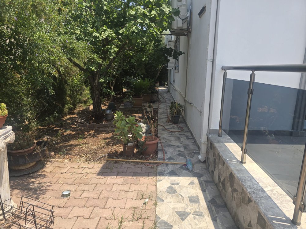 Picture of Property