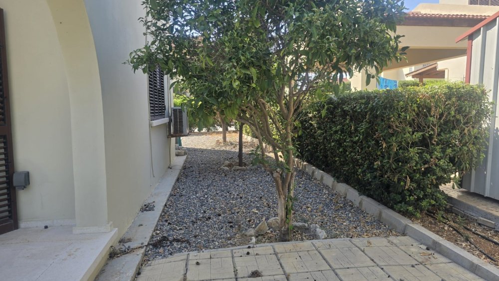 Picture of Property