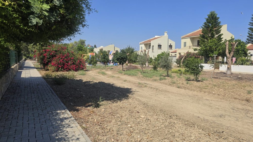 Picture of Property