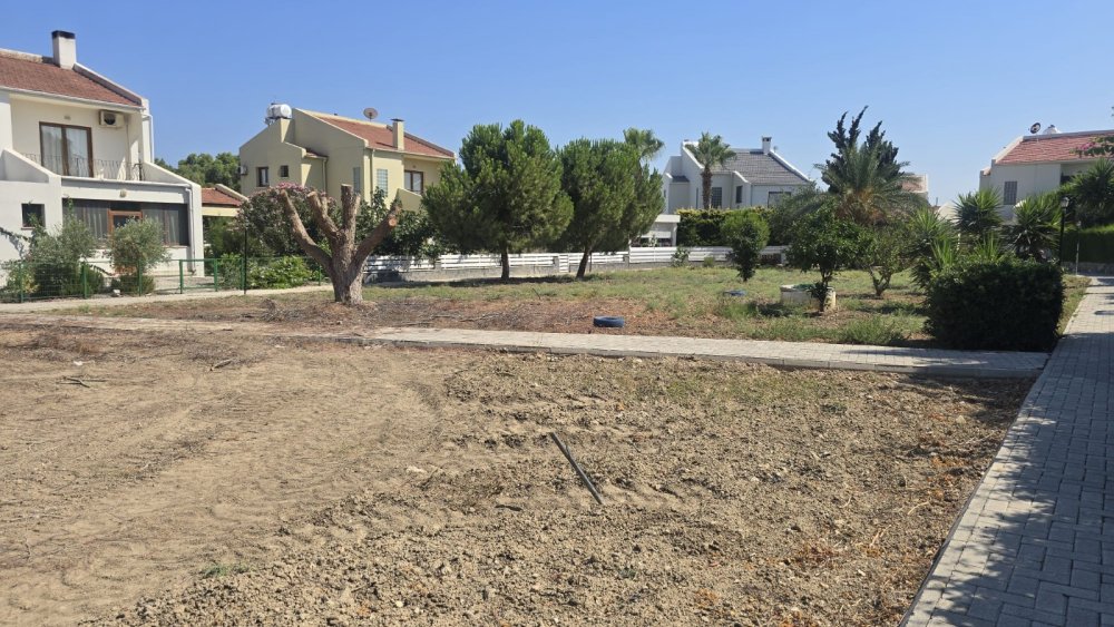 Picture of Property