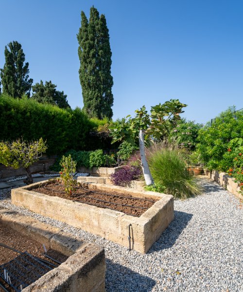 Picture of Property