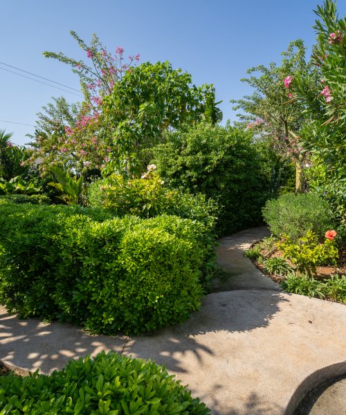 Picture of Property