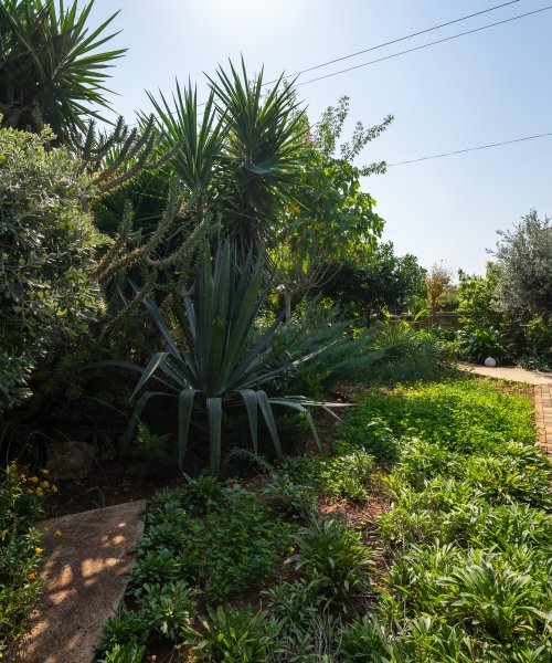 Picture of Property