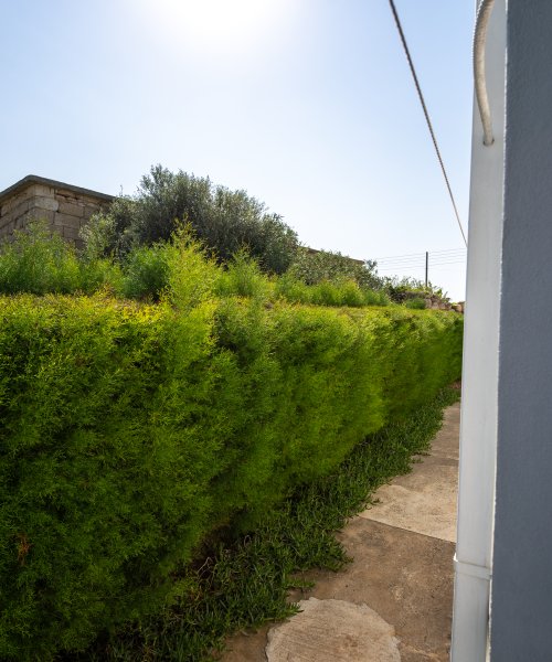 Picture of Property