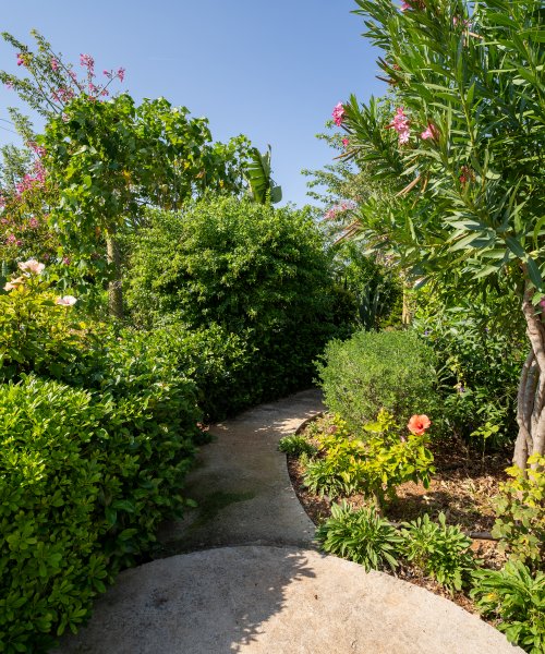Picture of Property