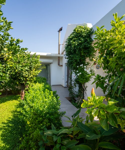 Picture of Property