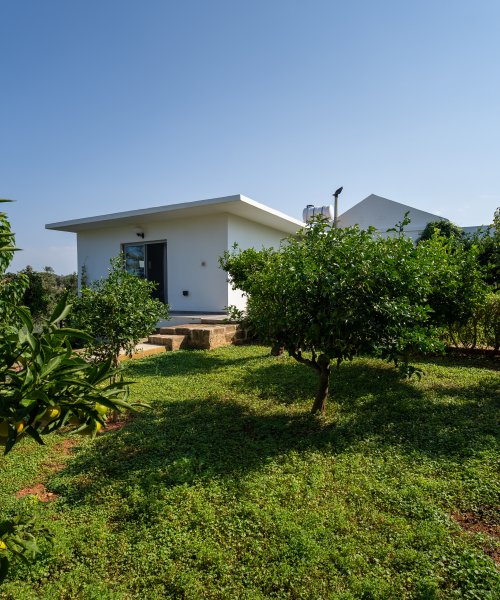Picture of Property