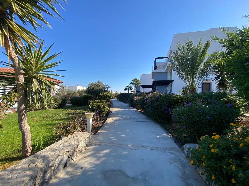 Picture of Property