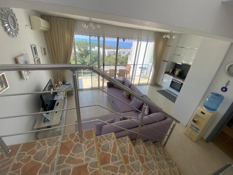 Picture of Property