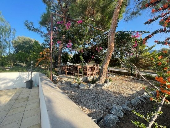 Picture of Property