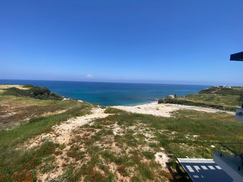 Picture of Property