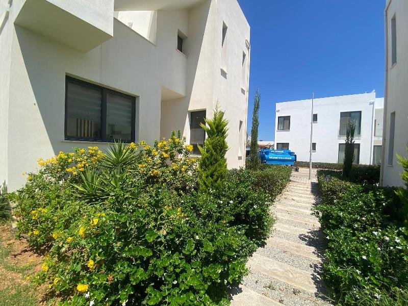 Picture of Property