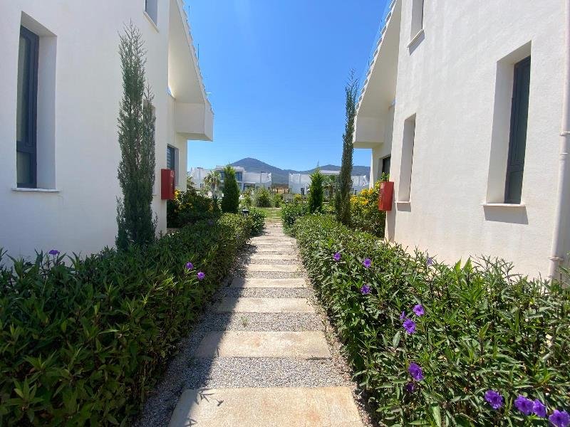 Picture of Property