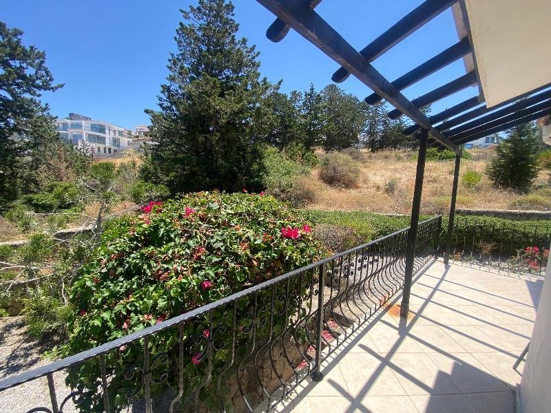 Picture of Property