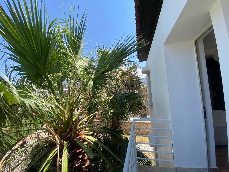 Picture of Property