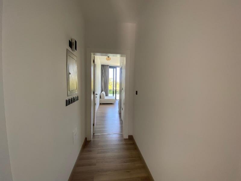 Picture of Property