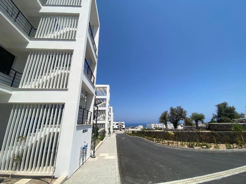 Picture of Property