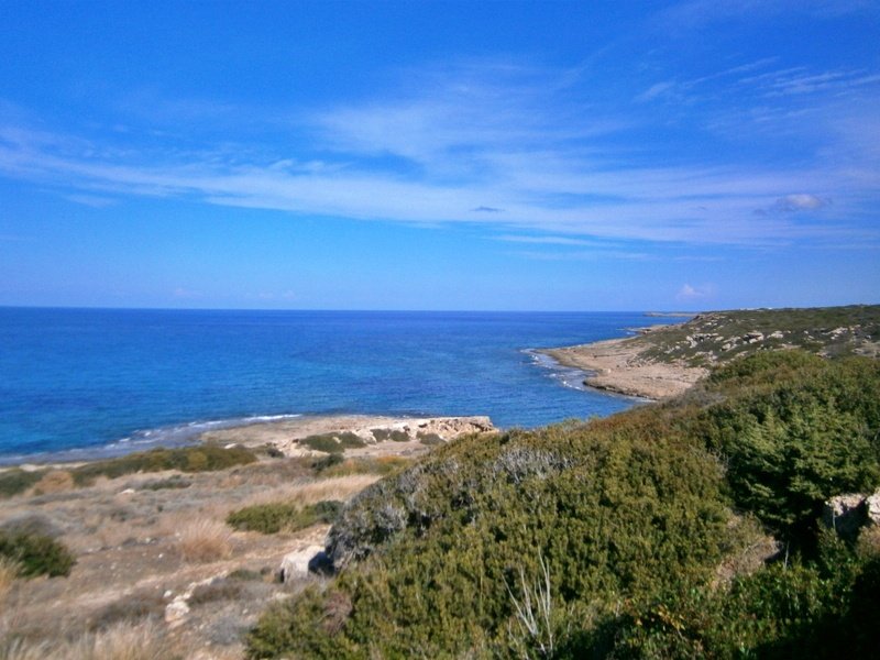 Picture of Property