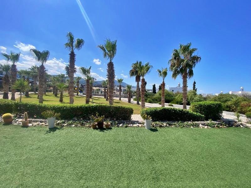 Picture of Property