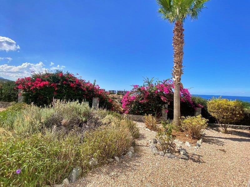 Picture of Property