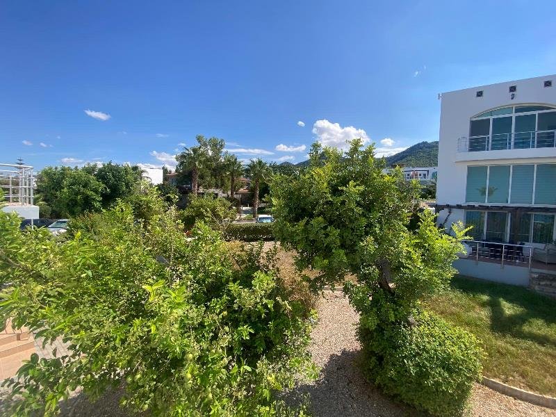 Picture of Property