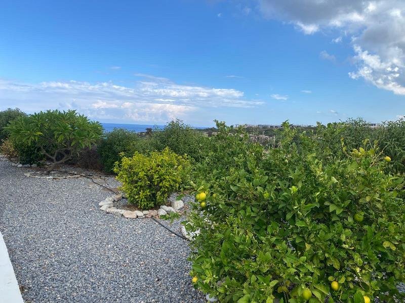 Picture of Property