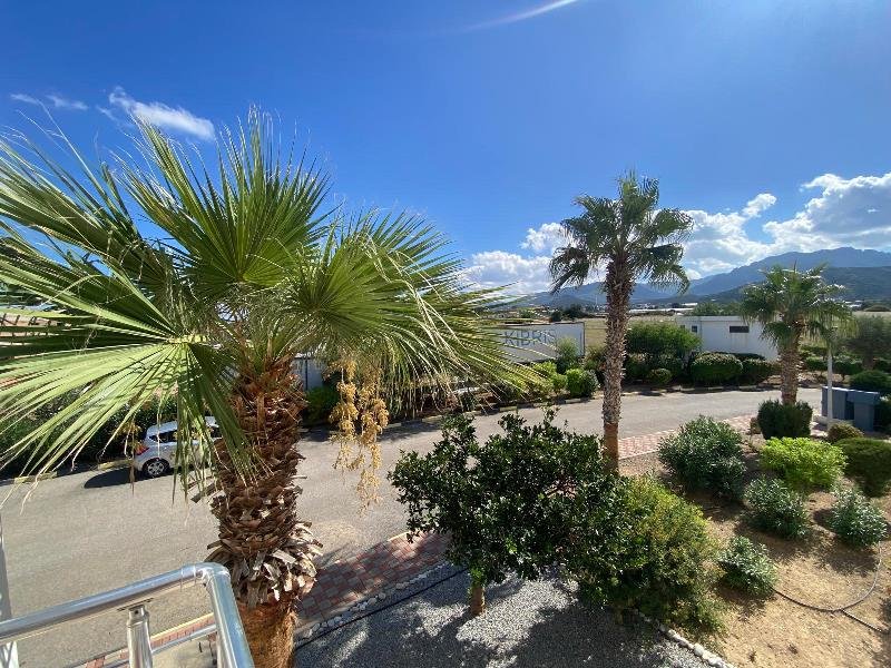 Picture of Property