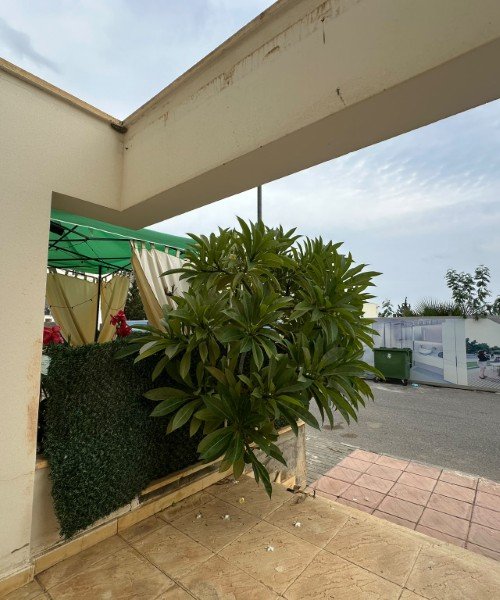 Picture of Property