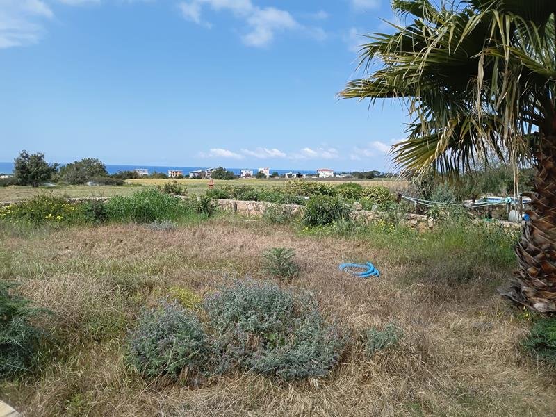 Picture of Property