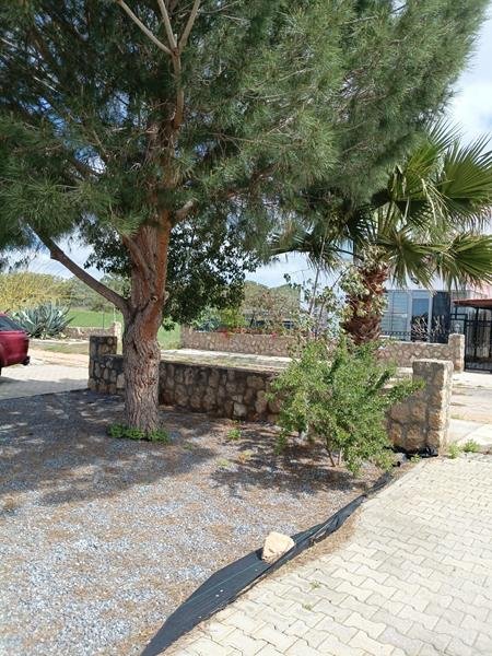 Picture of Property
