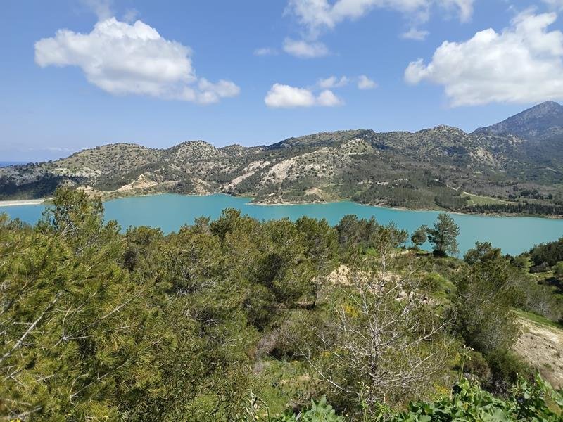 Picture of Property