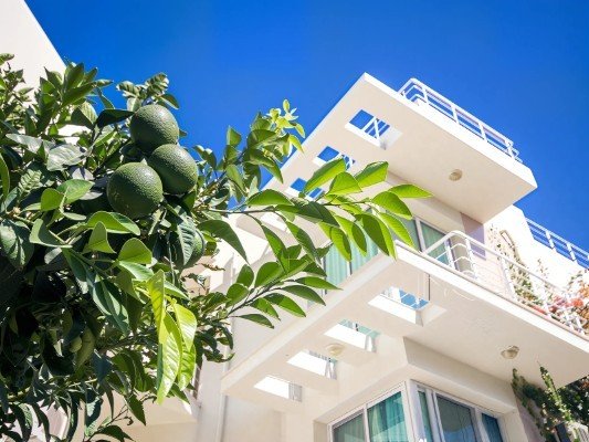 Picture of Property