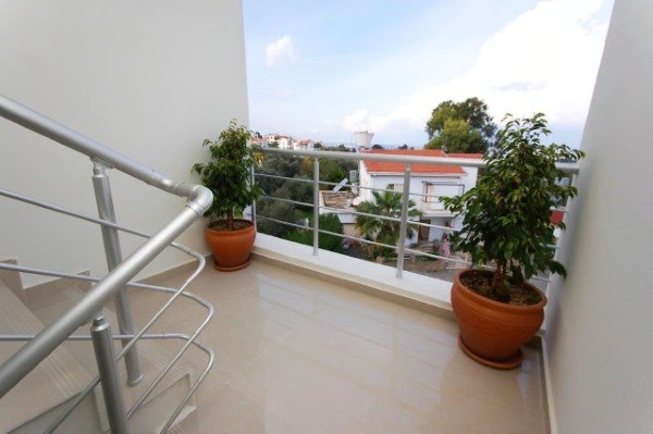 Picture of Property