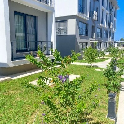 Picture of Property