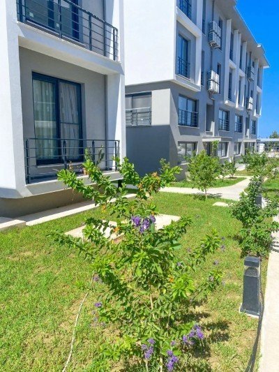 Picture of Property