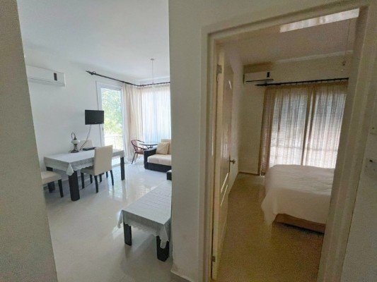 Picture of Property