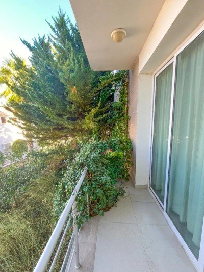 Picture of Property