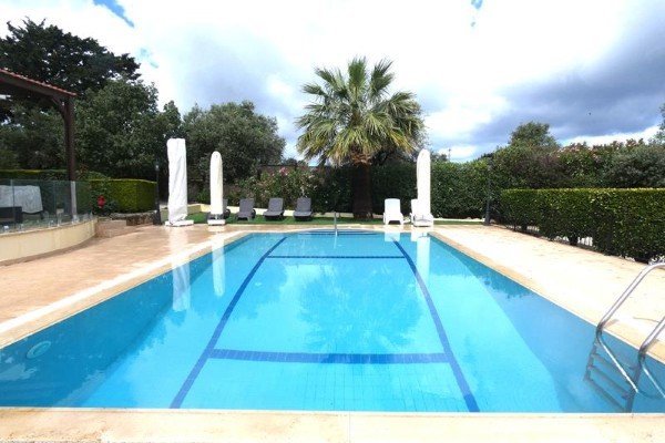 Picture of Property