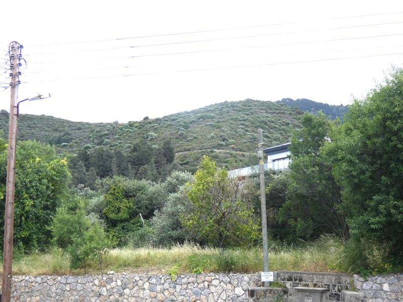 Picture of Property