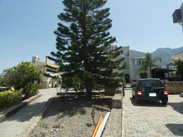 Picture of Property
