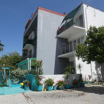 Picture of Property