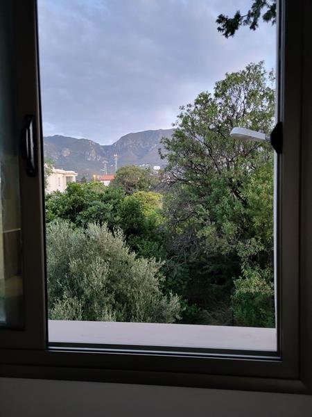 Picture of Property