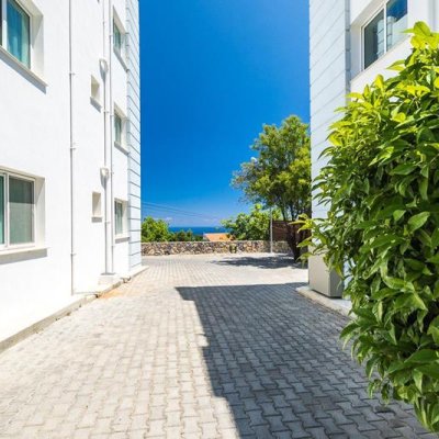 Picture of Property