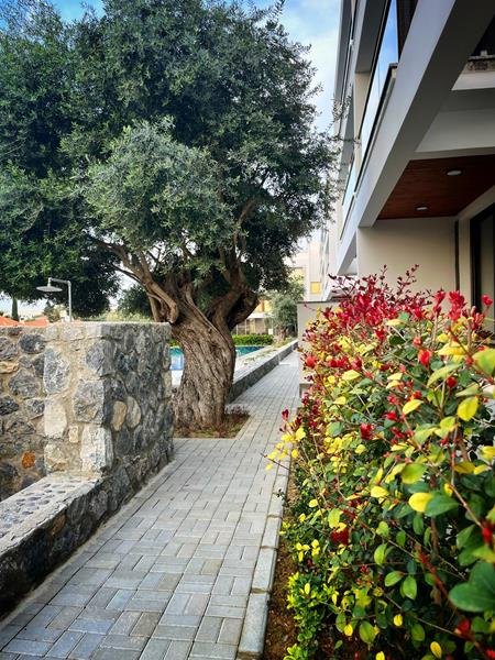 Picture of Property