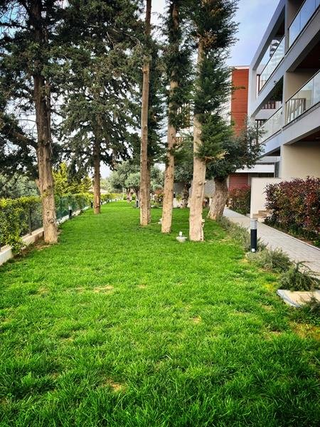 Picture of Property