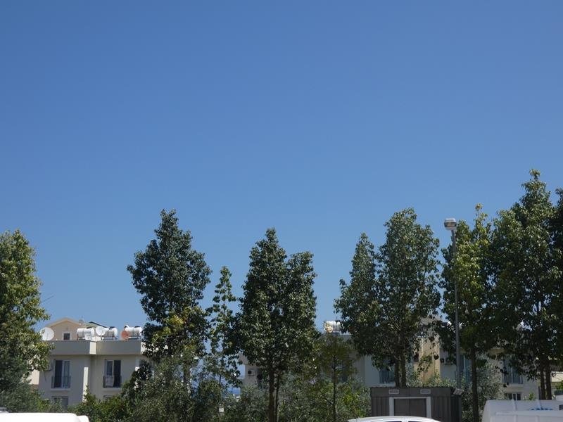 Picture of Property