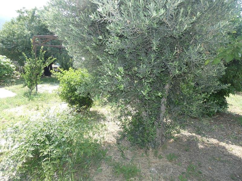 Picture of Property