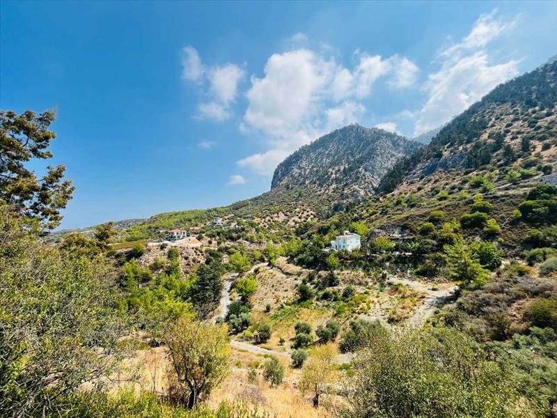 Picture of Property