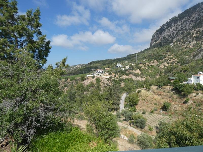 Picture of Property