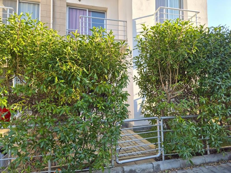Picture of Property